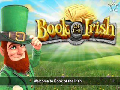 Book of the Irish